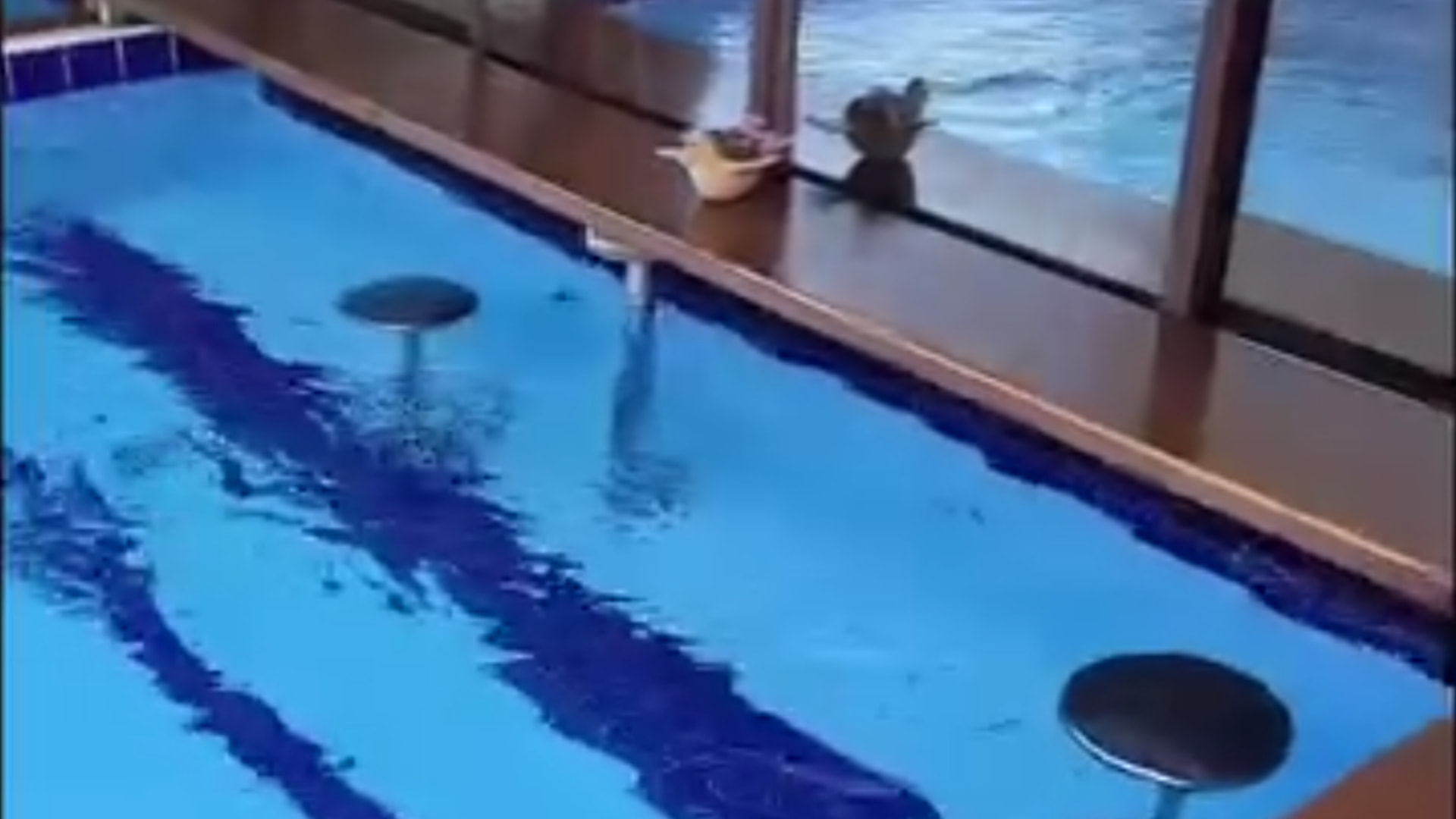 Piscina com banquetas submersas e bar integrado dentro da água